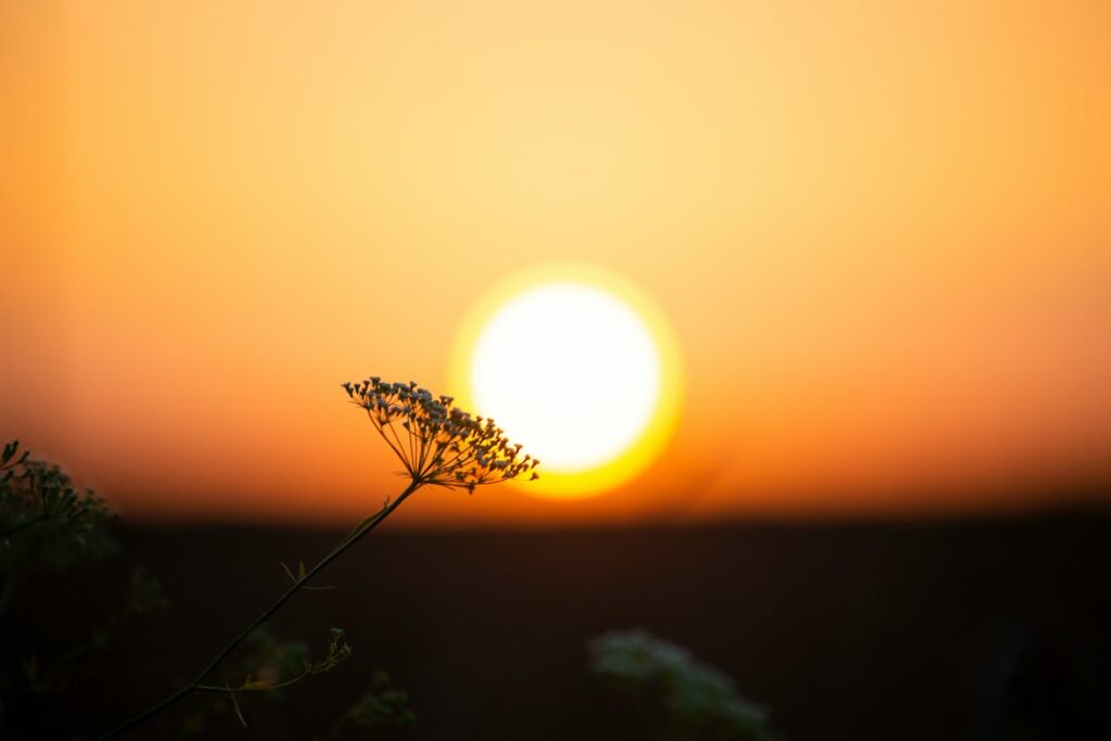 Sunset over a field, representing hope and support