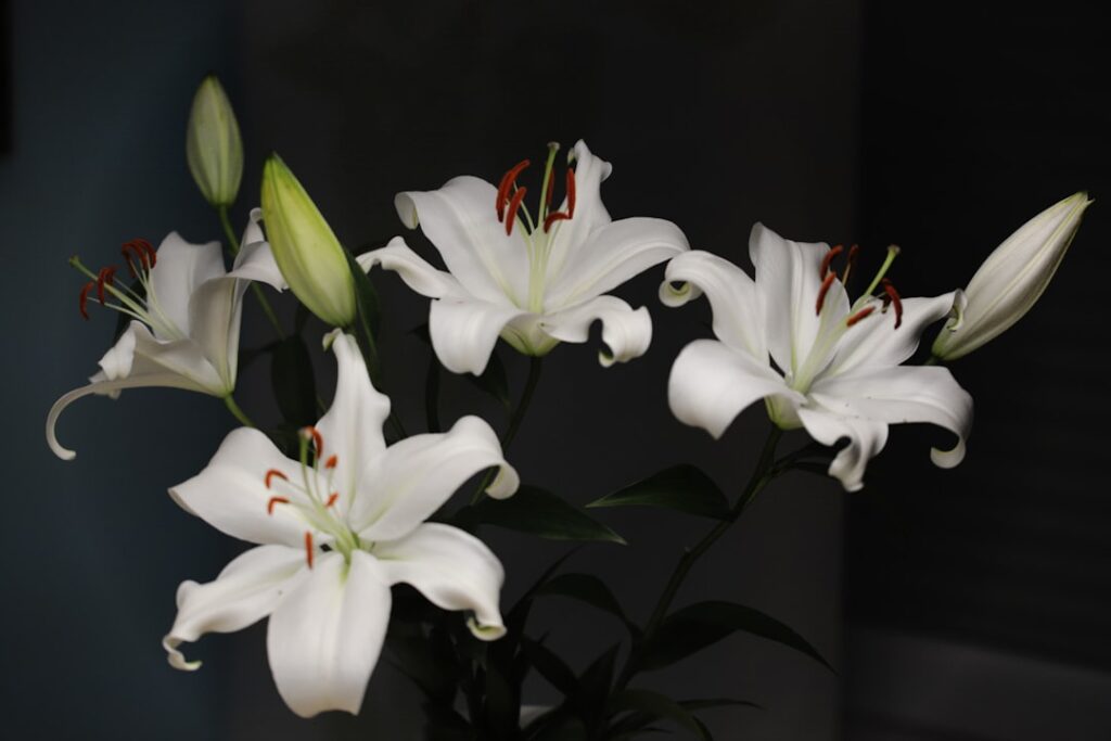 White memorial flowers