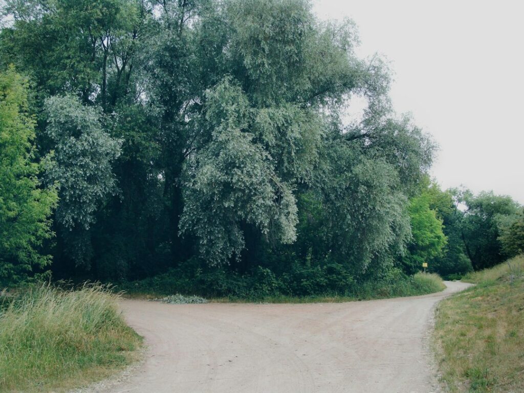 Forked path representing choosing between two options